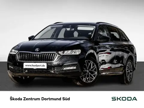 Annonce SKODA OCTAVIA Essence 2024 d'occasion 