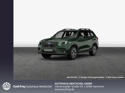 Annonce SUBARU FORESTER Hybride 2024 d'occasion 