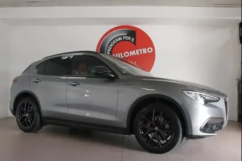 Annonce ALFA ROMEO STELVIO Diesel 2018 d'occasion 