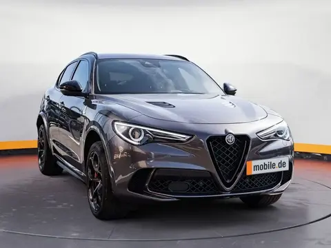 Used ALFA ROMEO STELVIO Petrol 2022 Ad 