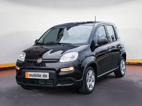 Annonce FIAT PANDA Essence 2024 d'occasion 