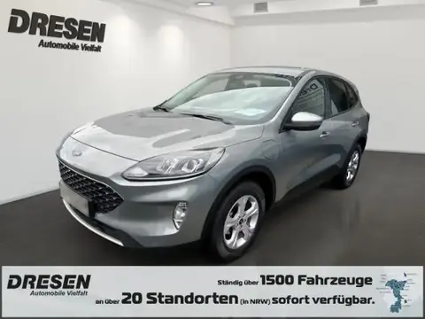 Used FORD KUGA Hybrid 2024 Ad 