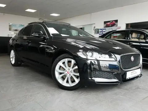 Annonce JAGUAR XF Diesel 2017 d'occasion 