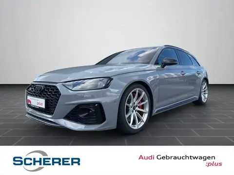 Used AUDI RS4 Petrol 2021 Ad 