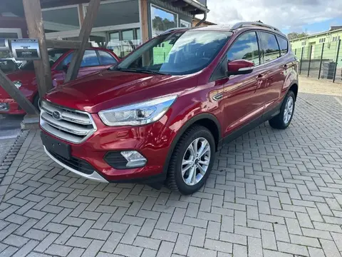 Used FORD KUGA Diesel 2019 Ad 