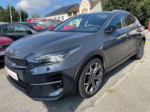 Annonce KIA XCEED Hybride 2021 d'occasion 