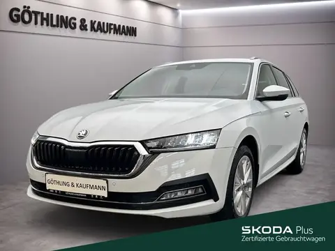 Annonce SKODA OCTAVIA Essence 2024 d'occasion 