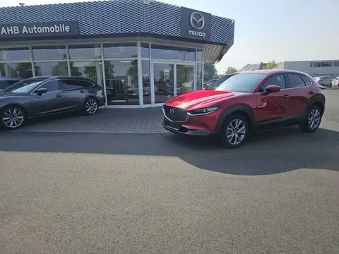 Used MAZDA CX-30 Hybrid 2021 Ad 