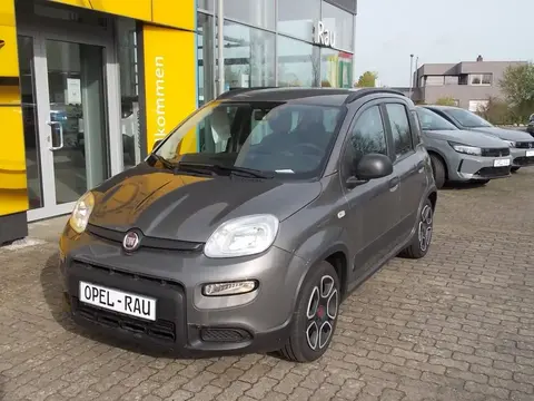 Used FIAT PANDA Hybrid 2022 Ad 