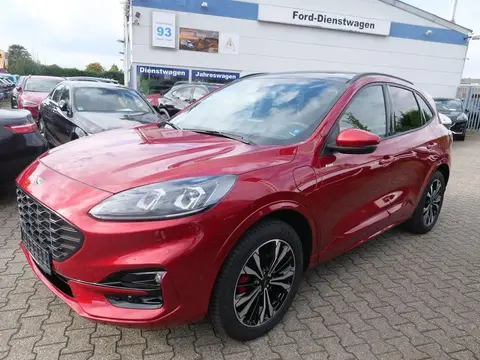 Annonce FORD KUGA Hybride 2023 d'occasion 