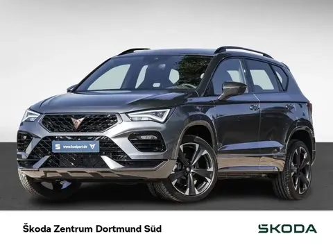 Used CUPRA ATECA Petrol 2024 Ad 