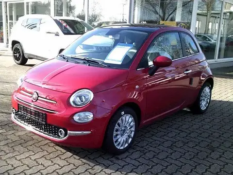 Used FIAT 500 Petrol 2023 Ad 