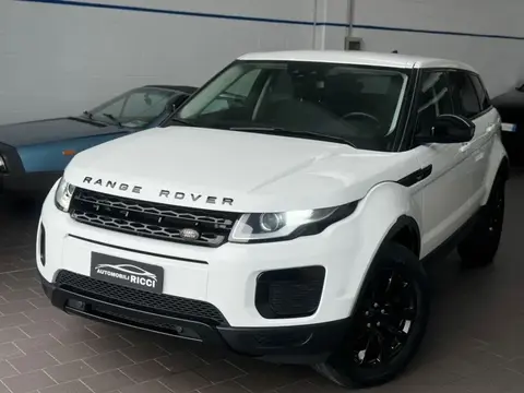 Used LAND ROVER RANGE ROVER EVOQUE Diesel 2019 Ad 