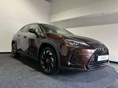 Annonce LEXUS UX Non renseigné 2020 d'occasion 