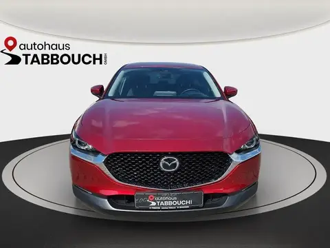 Annonce MAZDA CX-30 Essence 2020 d'occasion 