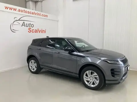 Used LAND ROVER RANGE ROVER EVOQUE Hybrid 2019 Ad 