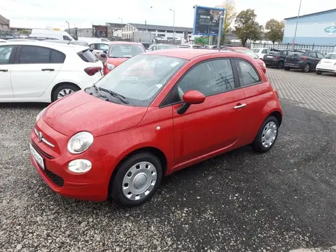 Used FIAT 500 Petrol 2022 Ad 