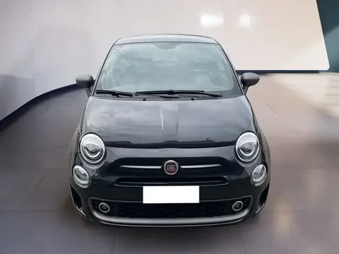 Used FIAT 500 Petrol 2019 Ad 