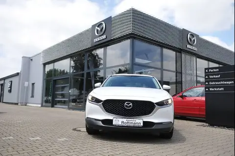 Annonce MAZDA CX-30 Essence 2021 d'occasion 