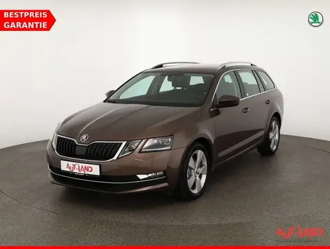 Annonce SKODA OCTAVIA Essence 2019 d'occasion 