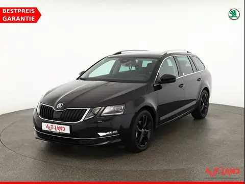 Annonce SKODA OCTAVIA Diesel 2020 d'occasion 