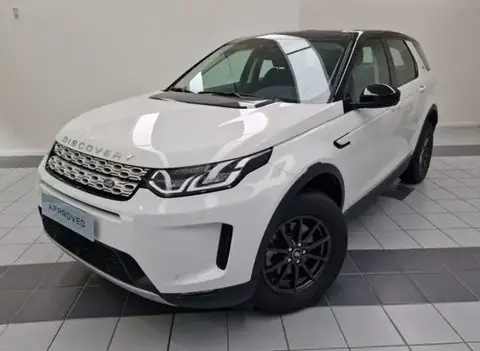 Used LAND ROVER DISCOVERY Hybrid 2020 Ad 