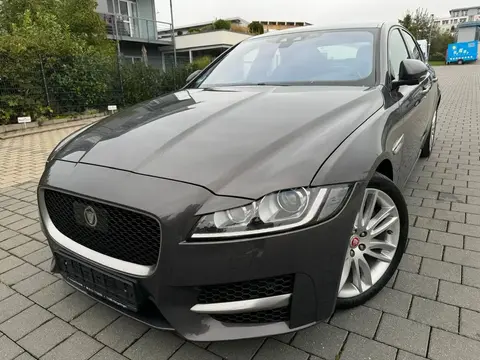 Annonce JAGUAR XF Diesel 2016 d'occasion 