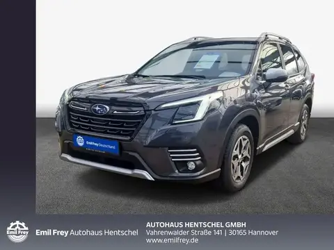 Used SUBARU FORESTER Hybrid 2024 Ad 