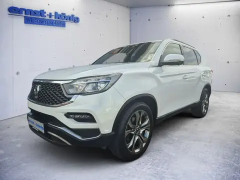 Annonce SSANGYONG REXTON Diesel 2019 d'occasion 