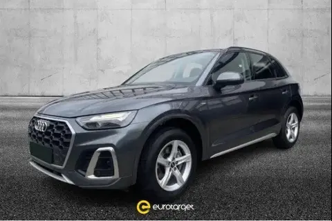 Used AUDI Q5 Hybrid 2021 Ad 