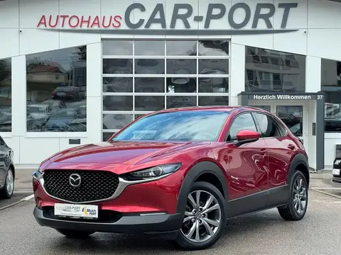 Annonce MAZDA CX-30 Essence 2020 d'occasion 