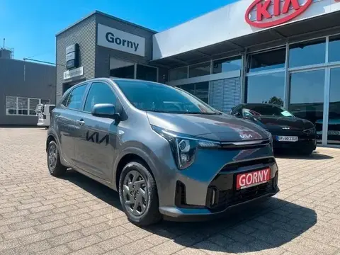 Used KIA PICANTO Petrol 2024 Ad 