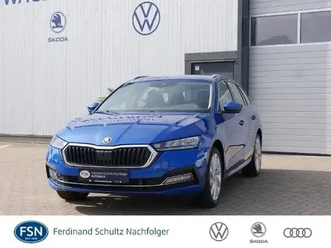 Used SKODA OCTAVIA Petrol 2023 Ad 