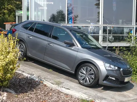 Annonce SKODA SCALA Essence 2023 d'occasion 