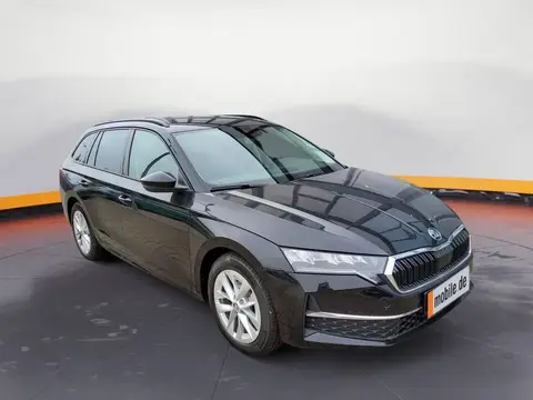 Annonce SKODA OCTAVIA Essence 2024 d'occasion 