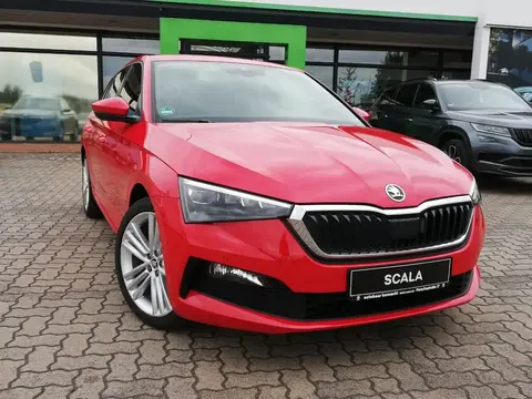 Annonce SKODA SCALA Essence 2019 d'occasion 