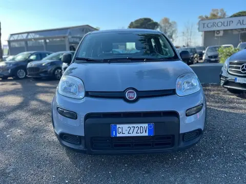 Used FIAT PANDA Hybrid 2022 Ad 