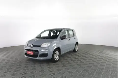 Used FIAT PANDA Petrol 2019 Ad 