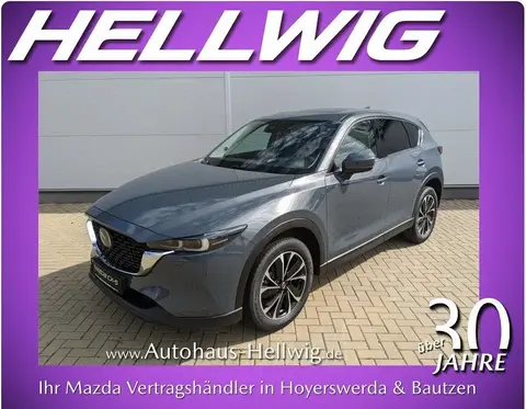 Used MAZDA CX-5 Petrol 2023 Ad 