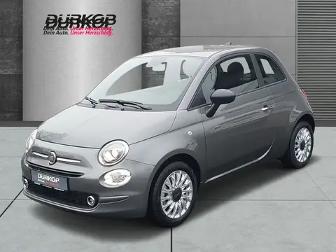 Used FIAT 500 Petrol 2023 Ad 