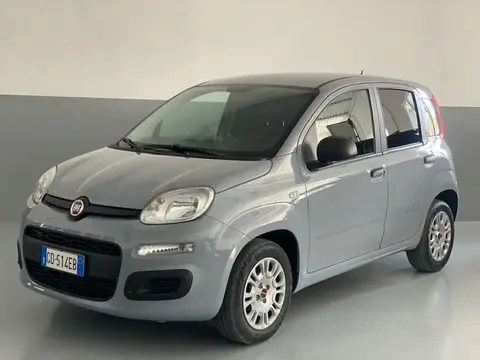 Annonce FIAT PANDA Essence 2021 d'occasion 