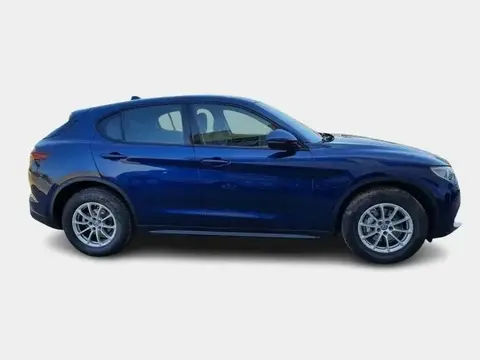 Used ALFA ROMEO STELVIO Diesel 2021 Ad 