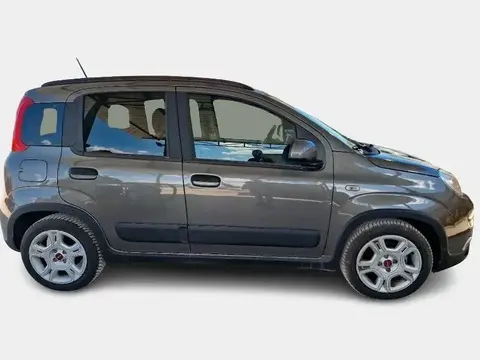 Used FIAT PANDA Hybrid 2023 Ad 