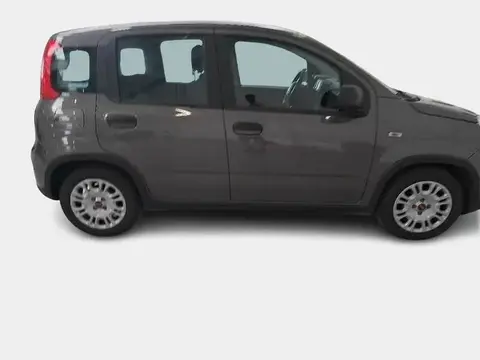 Annonce FIAT PANDA Hybride 2023 d'occasion 