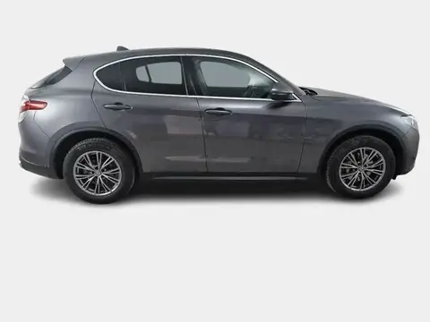 Annonce ALFA ROMEO STELVIO Diesel 2018 d'occasion 