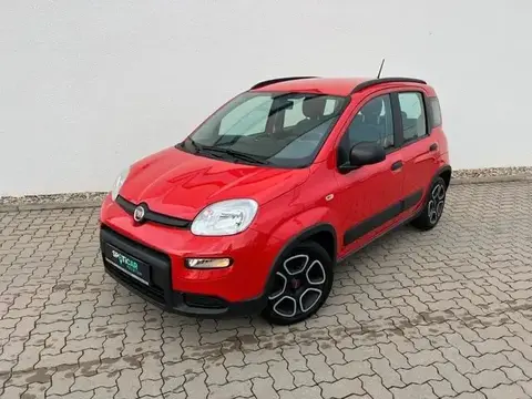 Used FIAT PANDA Petrol 2021 Ad 