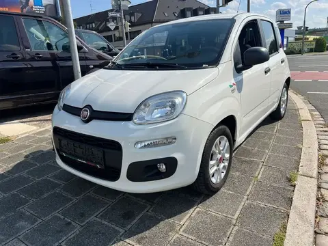 Used FIAT PANDA Petrol 2017 Ad 