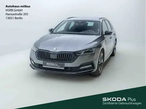 Annonce SKODA OCTAVIA Diesel 2024 d'occasion 