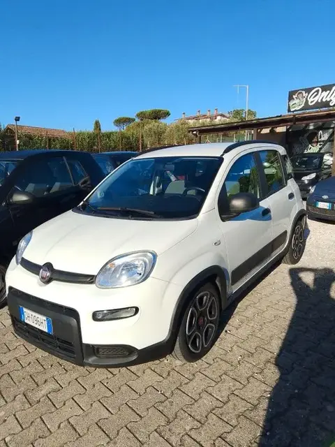 Annonce FIAT PANDA Essence 2021 d'occasion 