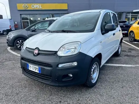 Annonce FIAT PANDA Essence 2019 d'occasion 